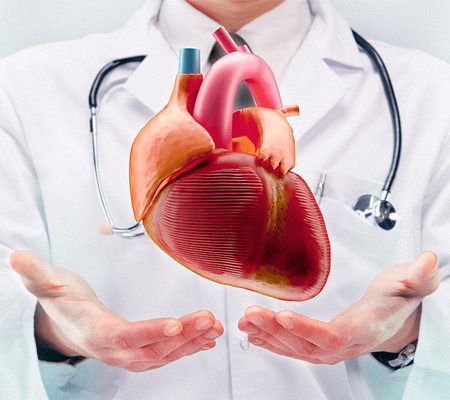 Médico Cardiólogo Titular